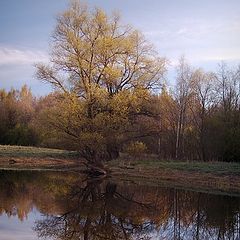 фото "Грезы осени"