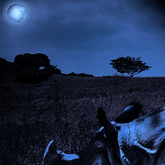 photo "Serengeti.Rhinoceros and Moon..."