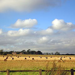 photo "Old Good England"