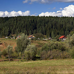 фото "Домики у леса"