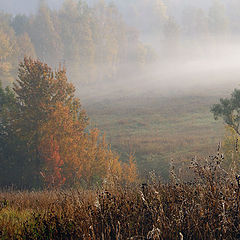 фото "Осень, утро."