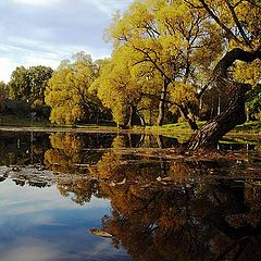 photo "Upon mirror dawn"