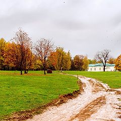 фото "Осенний пейзаж без названия"
