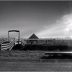 photo "PATHWAY"