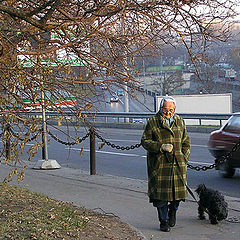 photo "Autumn of her life."