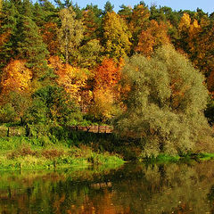 photo "Colors of gold autumn"