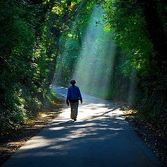 фото "sun shower"