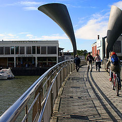 photo "Bridge with ears."