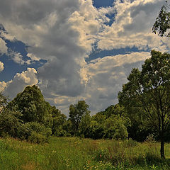 фото "бездорожье"