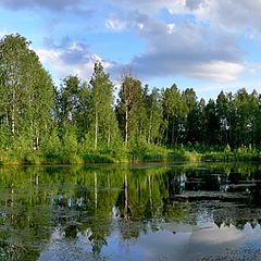 фото "Тихий пруд"