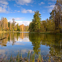 фото "гатчинский парк.осень..."