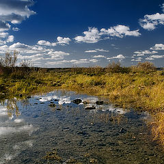 photo "Vivid paints season"