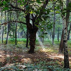 фото "В осеннем парке городском"