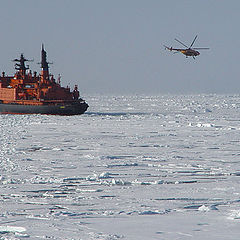 photo "ice patrol"