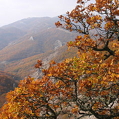 фото "Эчки-Даг"