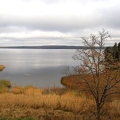 фото "Осень в Монрепо"