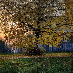 фото "Закат в Ильинках"