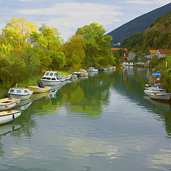 photo "Autumn colors"