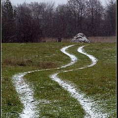 фото "Зигзаги осени"