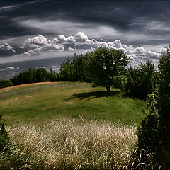 photo "West wind"