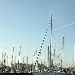 photo "Masts"