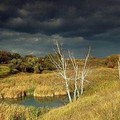 фото "Пейзаж с березками"