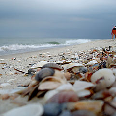 photo "after the storm"