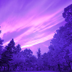 photo "Snow and Aurora - made in Serbia"