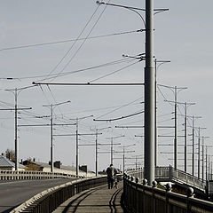 photo "Single man with a bicycle"