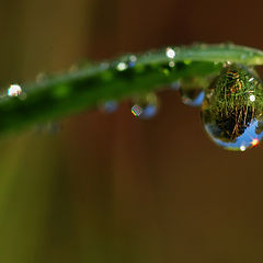 photo "World in the pearl"