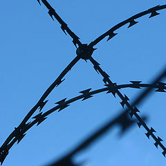 photo "Barbed wire"