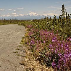 photo "The road to the big mountain in Wrangell-St. Elias"