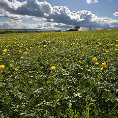 photo "On the village outskirts / 0171_0073"