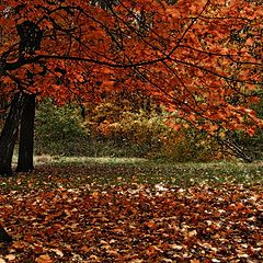 фото "Осенняя."