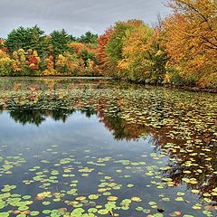 фото "Осень в Новой Англии"
