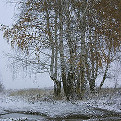 фото "Приближение зимы"