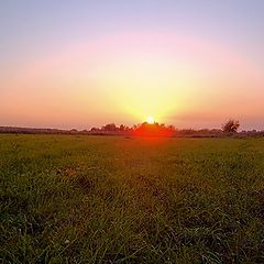 photo "Decline in meadows"