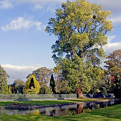 фото "An Autumn Mood"