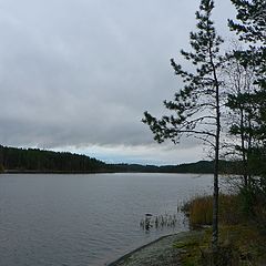 фото "Kymijoki"
