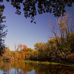 photo "...amber Fall"