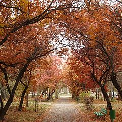 фото "Autumn in Almaty"