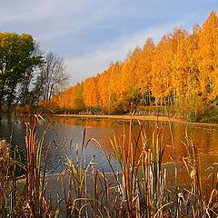 фото "Осенью у пруда1"