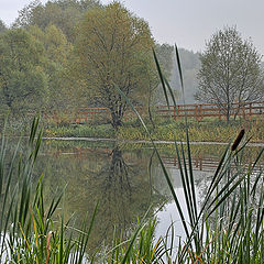 photo "Lake"