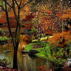 photo "Japanese garden"