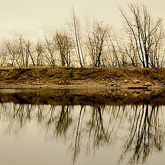photo "***"