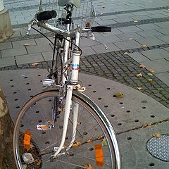 photo "Bicycle"