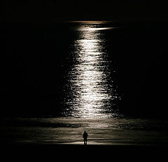 фото "Loneliness in the moonshiny"