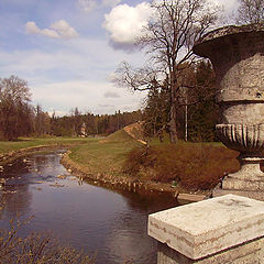 photo "Stone cup. Spring."