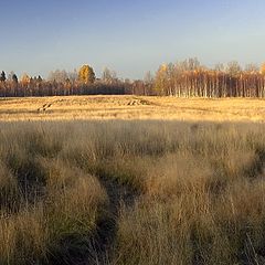 photo "Fields of Oktober"