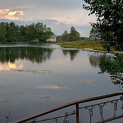 photo "Evening walk."